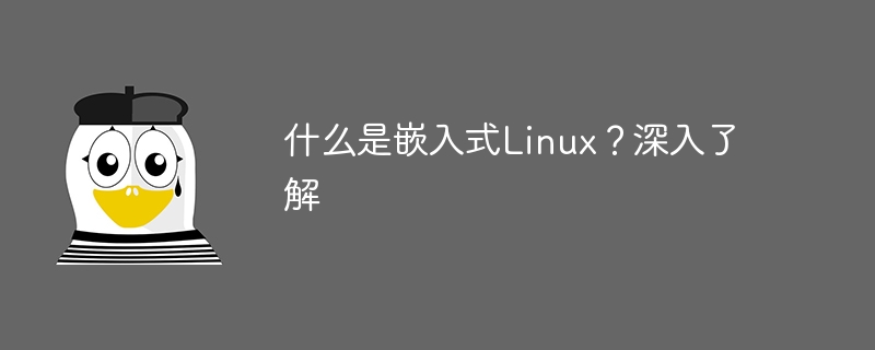 什么是嵌入式linux？深入了解