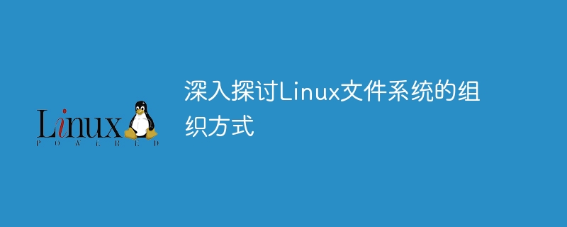 深入探讨linux文件系统的组织方式