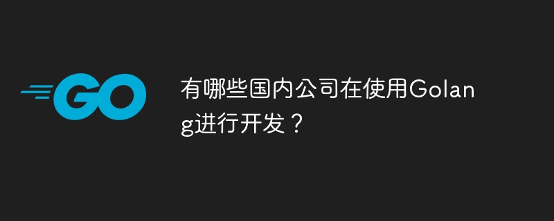 有哪些国内公司在使用golang进行开发？