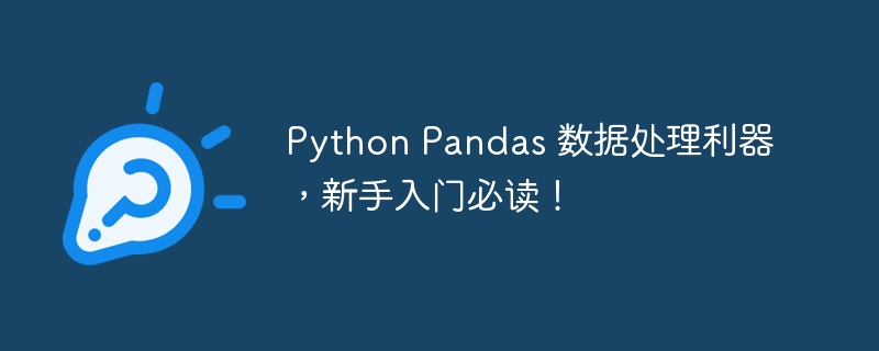 python pandas 数据处理利器，新手入门必读！