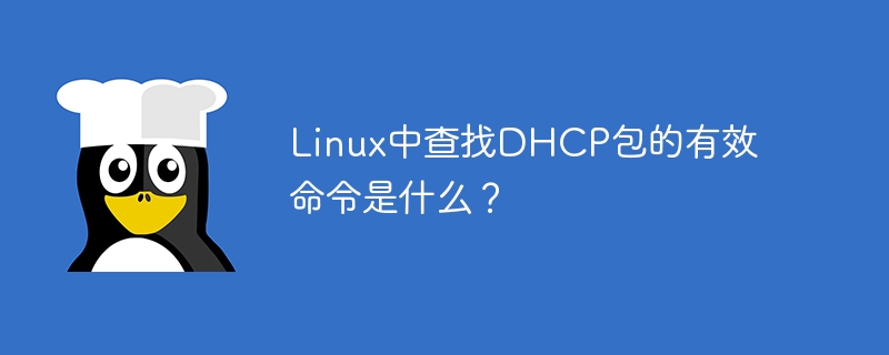 linux中查找dhcp包的有效命令是什么？