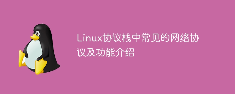 linux协议栈中常见的网络协议及功能介绍