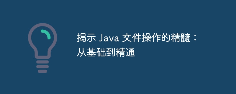 揭示 java 文件操作的精髓：从基础到精通