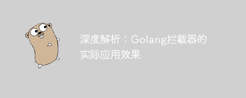 深度解析：golang拦截器的实际应用效果