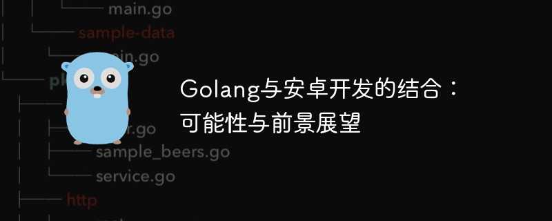 golang与安卓开发的结合：可能性与前景展望