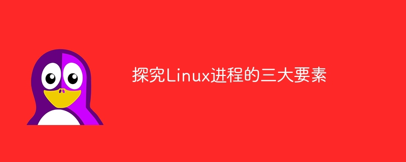 探究linux进程的三大要素