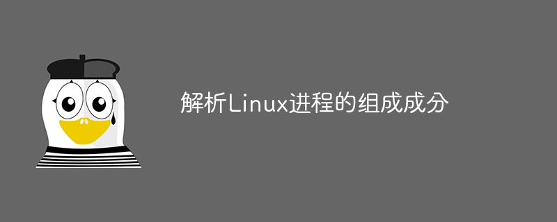 解析linux进程的组成成分