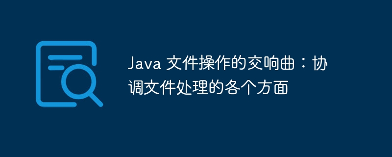 java 文件操作的交响曲：协调文件处理的各个方面