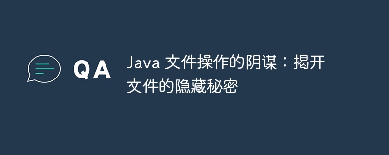 java 文件操作的阴谋：揭开文件的隐藏秘密