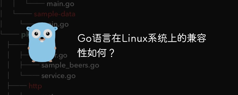 go语言在linux系统上的兼容性如何？