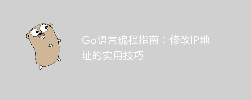 go语言编程指南：修改ip地址的实用技巧