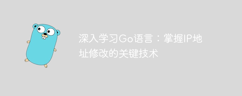 深入学习go语言：掌握ip地址修改的关键技术