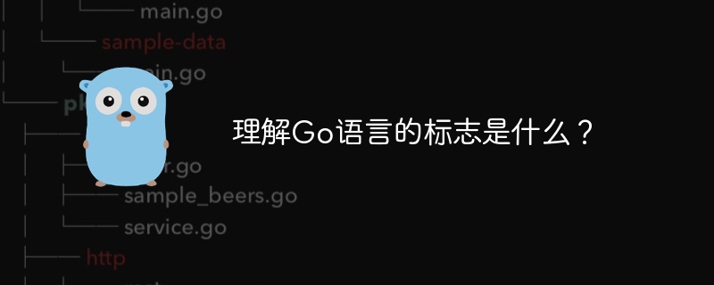 理解go语言的标志是什么？