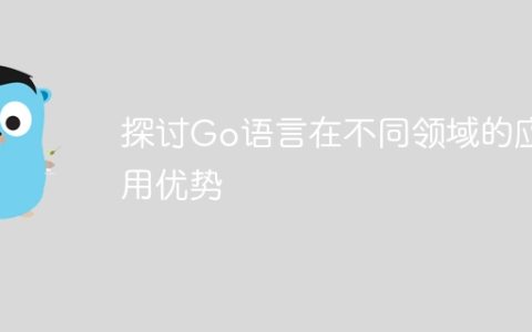 探讨Go语言在不同领域的应用优势