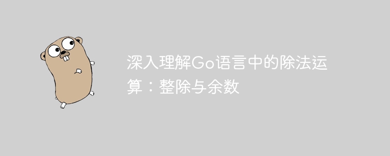 深入理解go语言中的除法运算：整除与余数