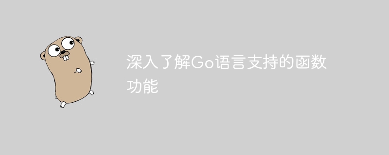 深入了解go语言支持的函数功能