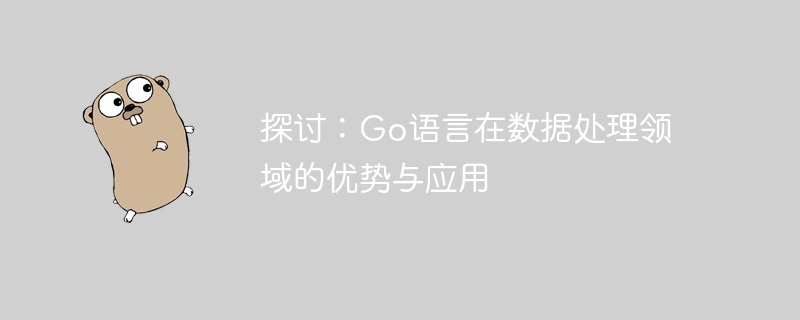 探讨：go语言在数据处理领域的优势与应用