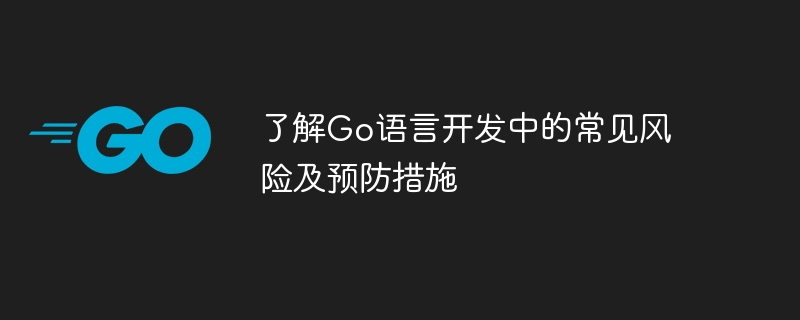 了解go语言开发中的常见风险及预防措施