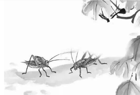蚂蚁庄园3月25日:见敌竖两股怒须如卓棘描写的是古代哪种民间活动
