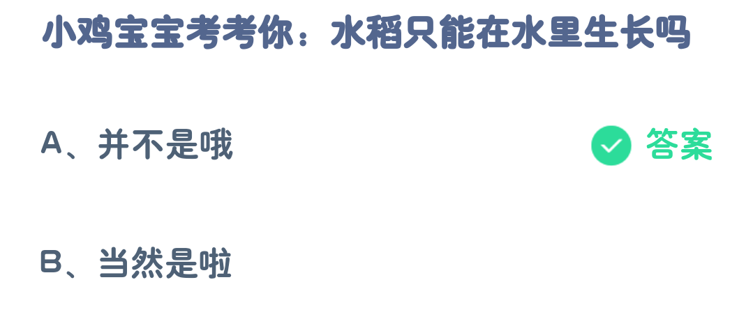 蚂蚁庄园3月25日:水稻只能在水里生长吗