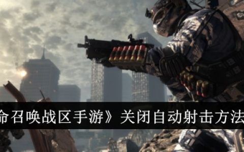 《使命召唤战区手游》关闭自动射击方法介绍