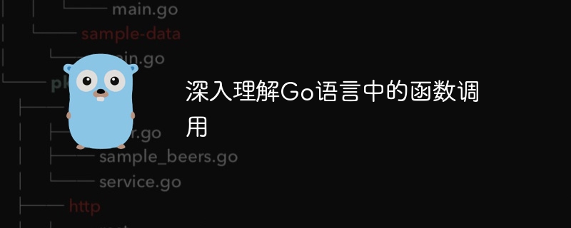 深入理解go语言中的函数调用