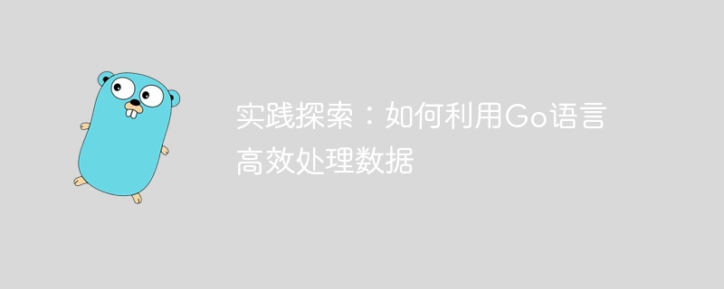 实践探索：如何利用go语言高效处理数据