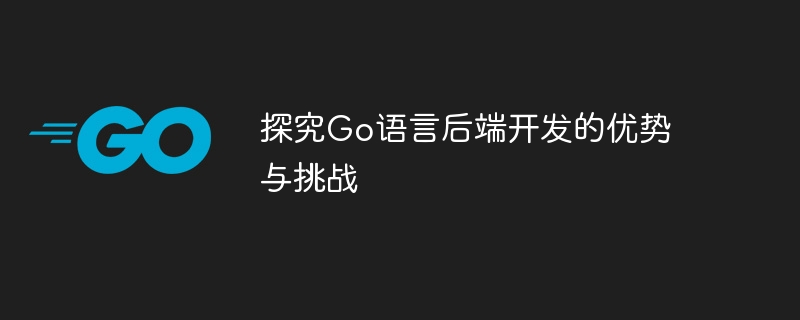 探究go语言后端开发的优势与挑战