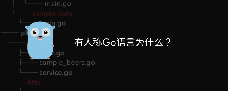 有人称go语言为什么？