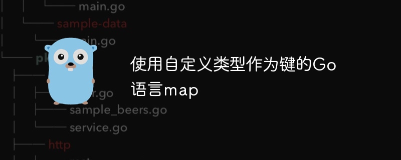 使用自定义类型作为键的go语言map