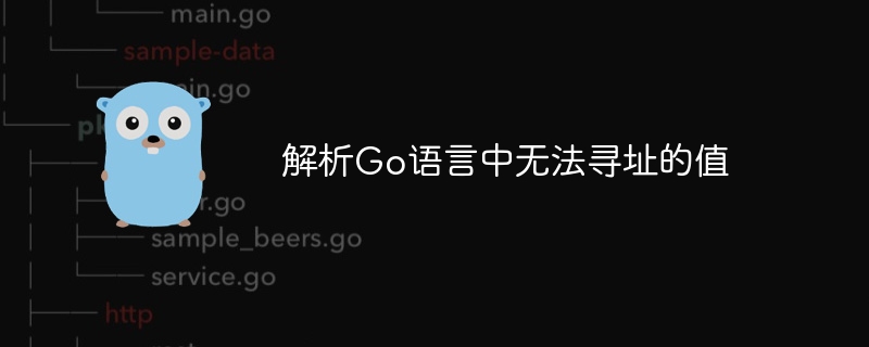 解析go语言中无法寻址的值