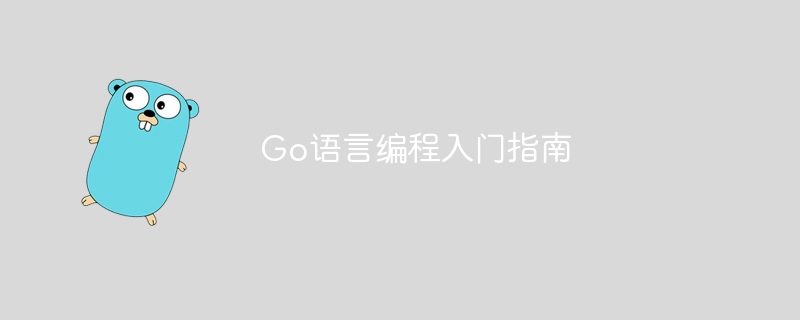 go语言编程入门指南