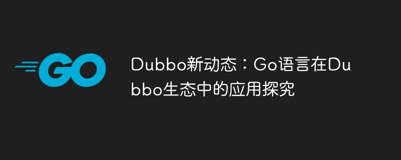 dubbo新动态：go语言在dubbo生态中的应用探究