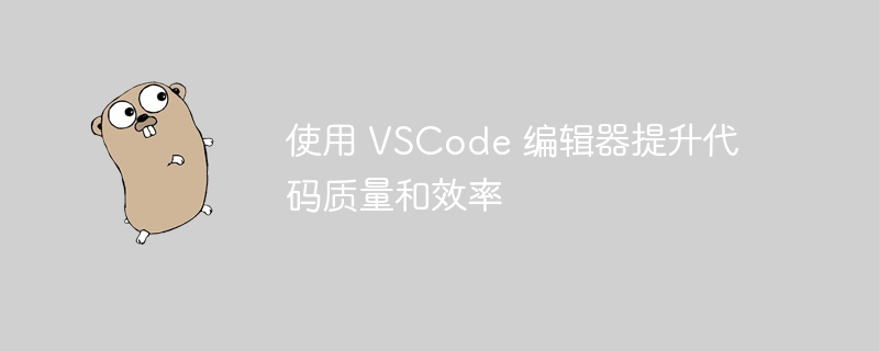 使用 vscode 编辑器提升代码质量和效率
