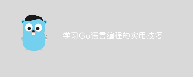 学习go语言编程的实用技巧