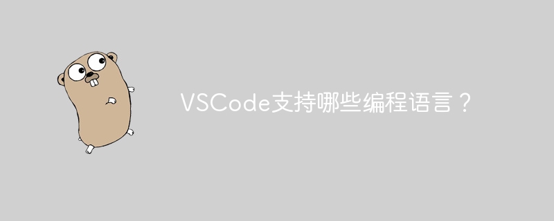 vscode支持哪些编程语言？