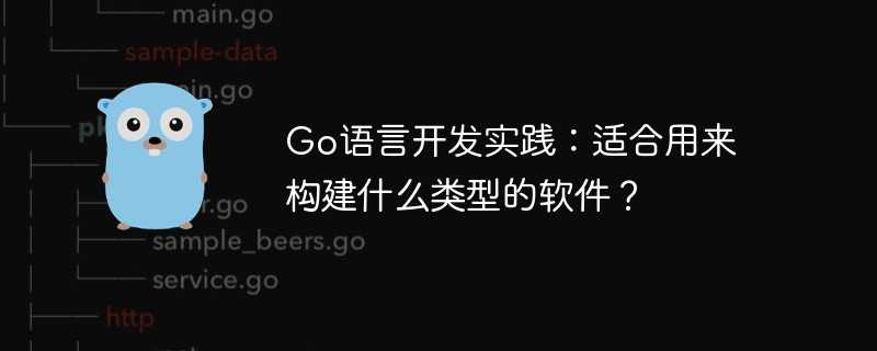 go语言开发实践：适合用来构建什么类型的软件？