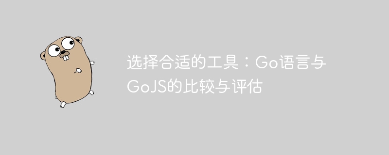 选择合适的工具：go语言与gojs的比较与评估