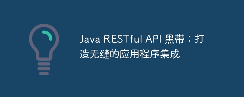 java restful api 黑带：打造无缝的应用程序集成