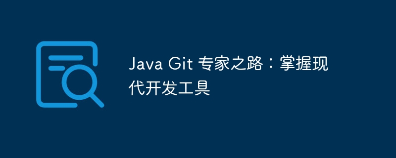 java git 专家之路：掌握现代开发工具