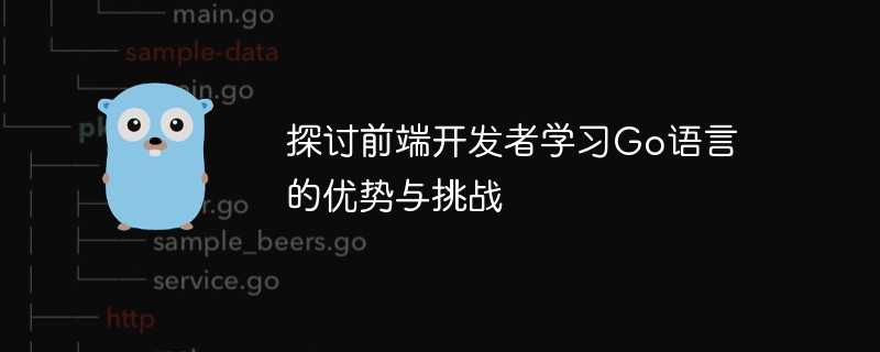 探讨前端开发者学习go语言的优势与挑战