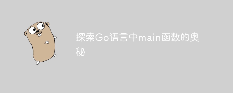 探索go语言中main函数的奥秘