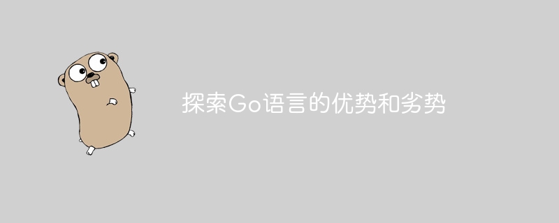 探索go语言的优势和劣势