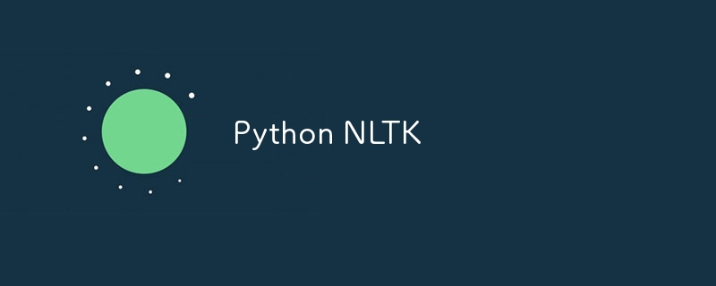 python nltk