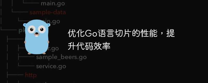 优化go语言切片的性能，提升代码效率