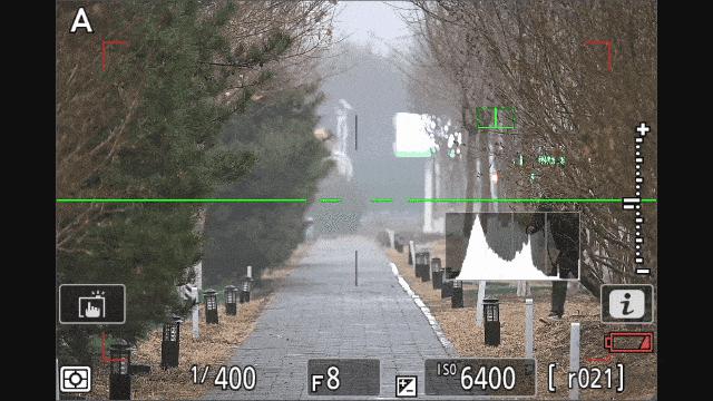  真正的一镜走天下 尼克尔 Z 28-400mm f/4-8 VR 镜头上手体验 