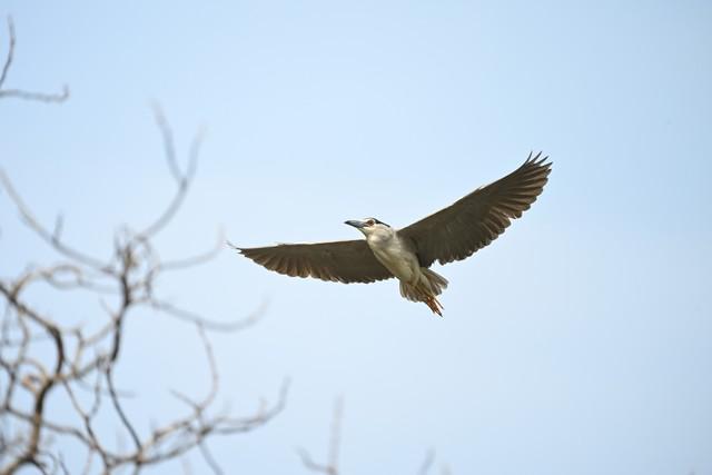  真正的一镜走天下 尼克尔 Z 28-400mm f/4-8 VR 镜头上手体验 