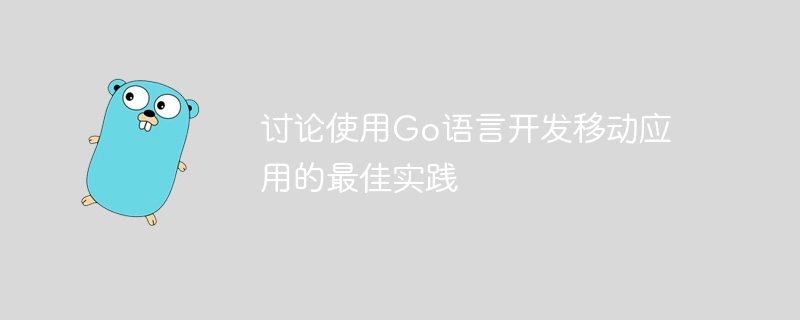 讨论使用go语言开发移动应用的最佳实践