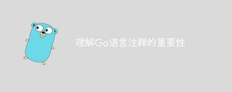 理解go语言注释的重要性