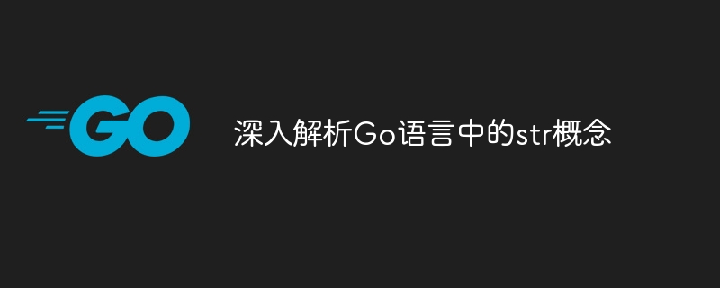 深入解析go语言中的str概念